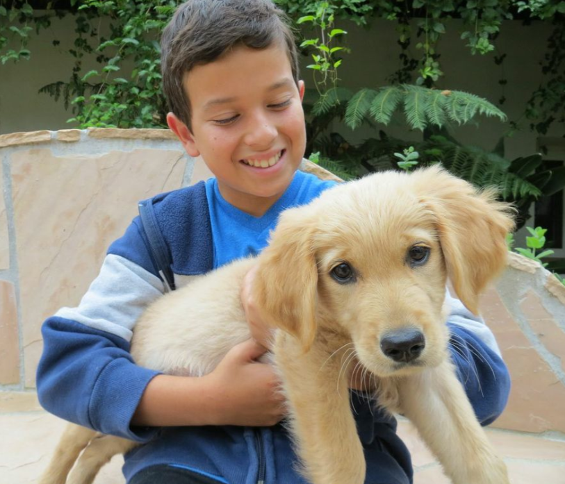 A little boy holds a very sweet looking little yellow puppy