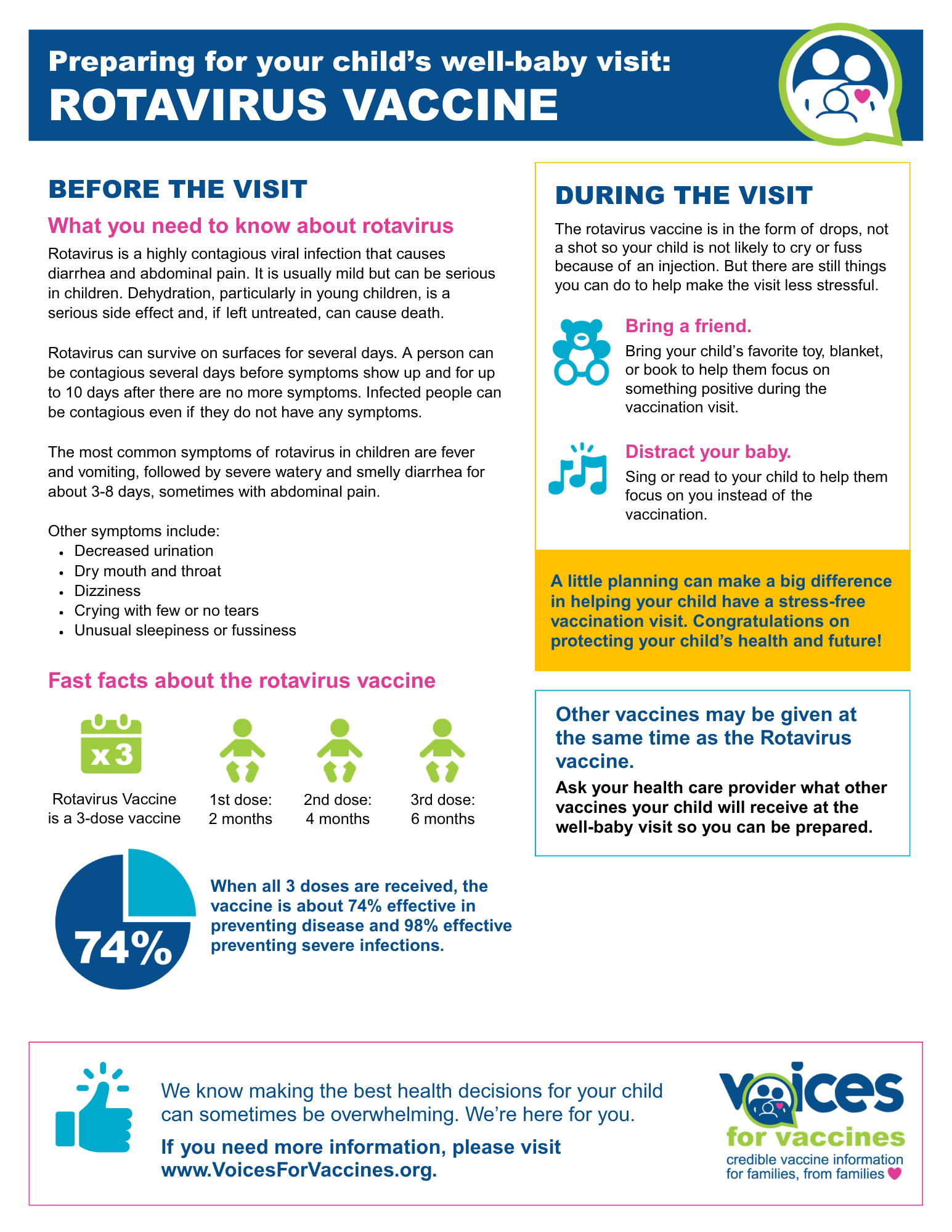 Download the Rotavirus PDF Fact Sheet