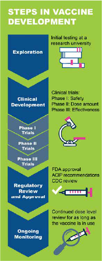 steps in vaccine development include exploration, clinical development, phases of clinical trials, regulatory review, and ongoing monitoring.