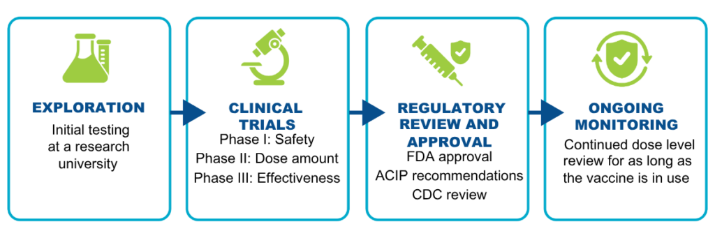 it starts with Exploration and initial testing at a research university, then clinical trials phase 1 safety, then phase 2 dose amount, and phase 3 effectiveness. then comes regulatory review and approval fda approval acip recommendations and cdc review then ongoing monitoring continued dose level review for as long as the vaccine is in use