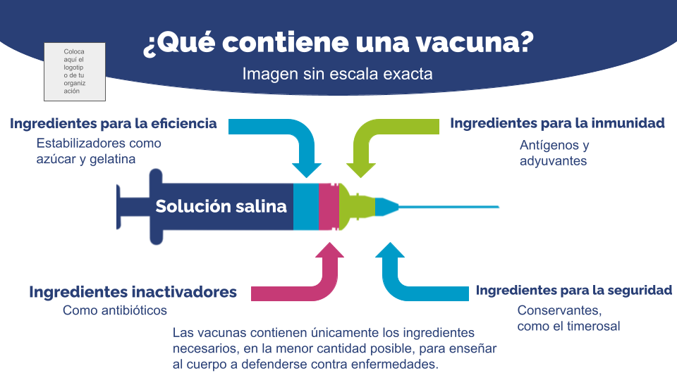 Copy of ¿Qué contiene una vacuna_ TW